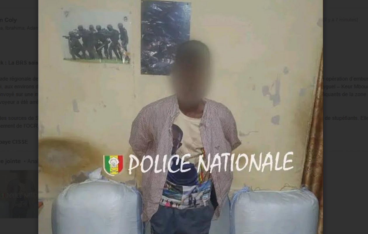 Kaolack : La BRS saisit 29 kg de chanvre indien sur le convoyeur A. Diallo