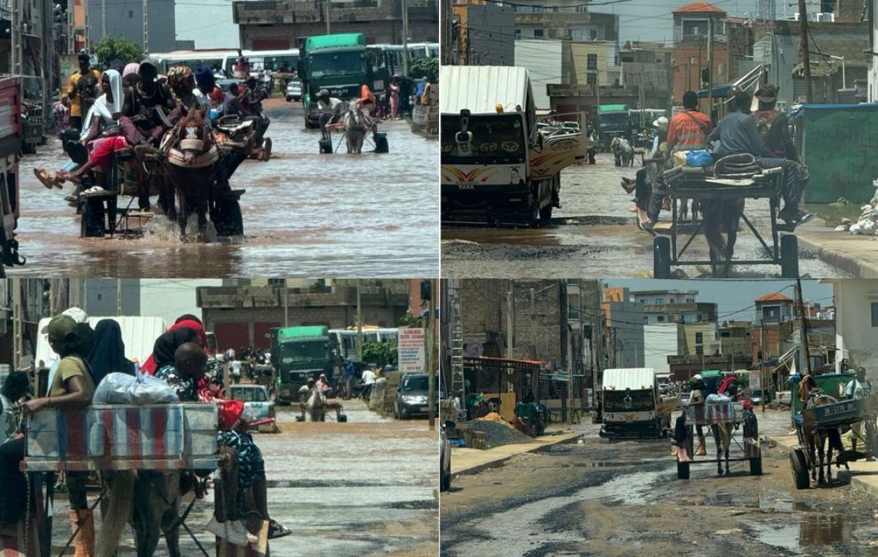 Le calvaire des habitants de Kounoune et des Almadies 2, réduits à se déplacer en charrettes
