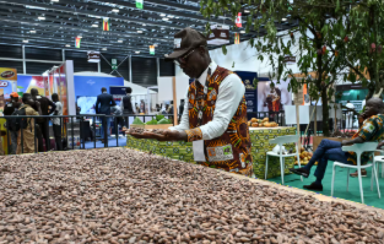 Côte d'Ivoire: le prix du cacao fixé à un niveau record