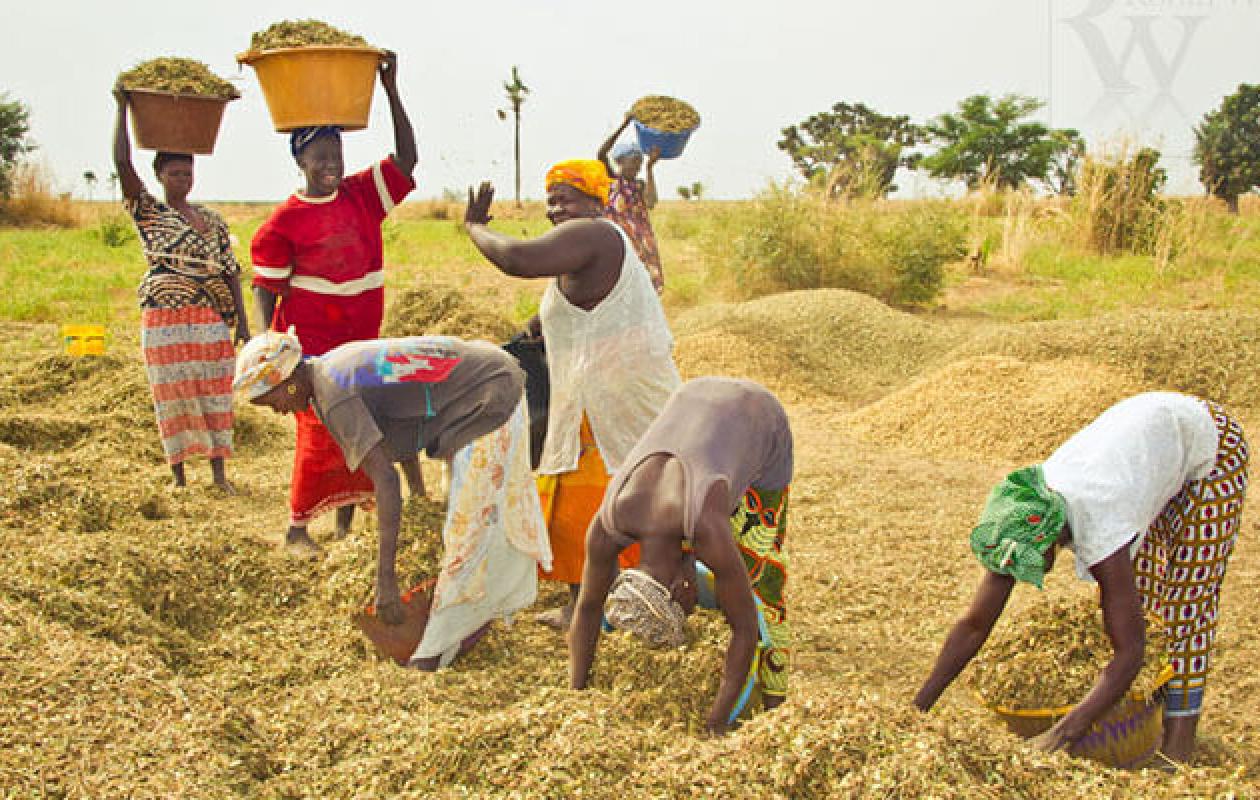 Agriculture et justice : Un partenariat innovant pour la réinsertion et la souveraineté alimentaire