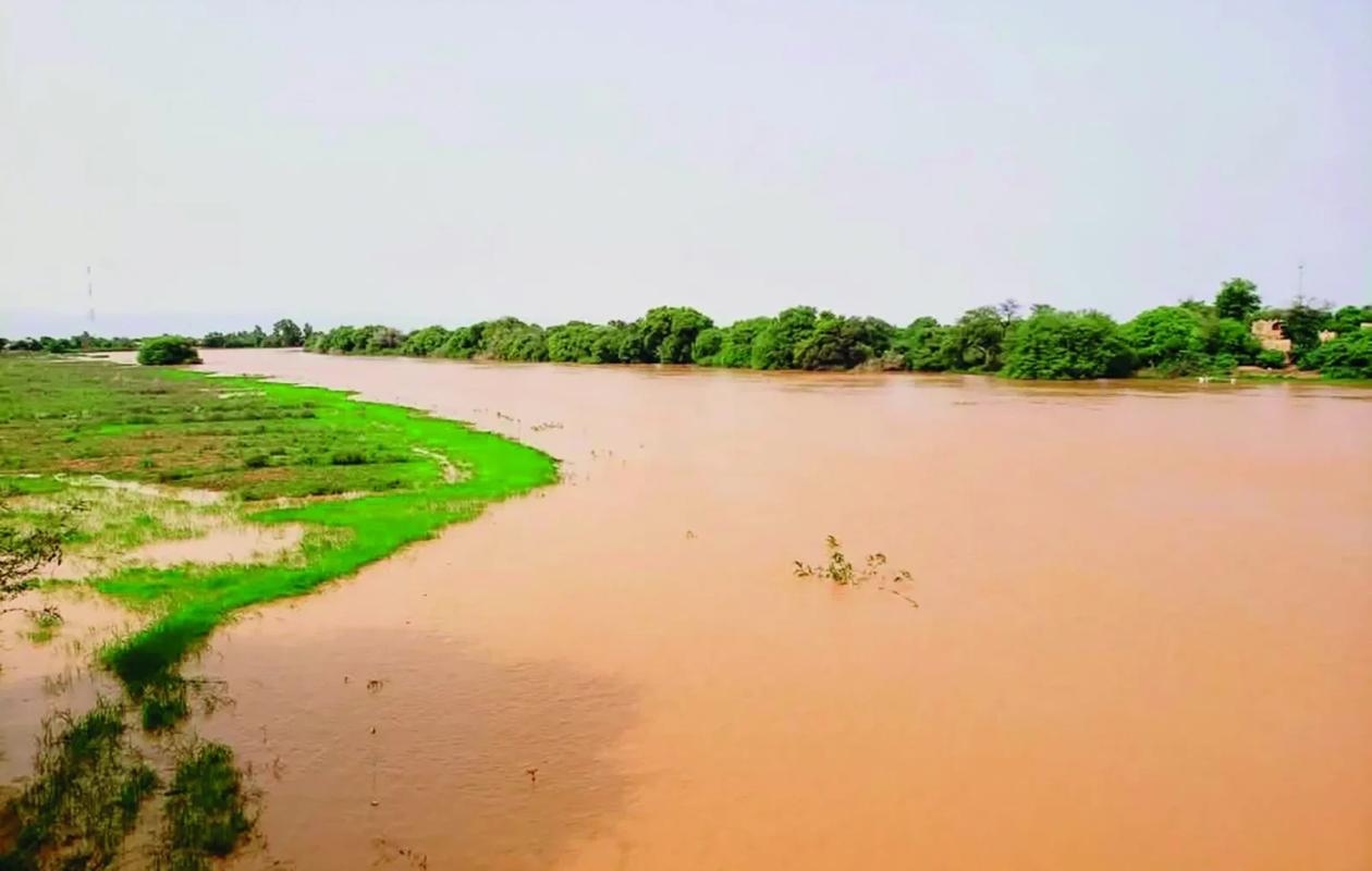 Bassin du Fleuve Gambie : la tendance générale des eaux reste à la baisse.