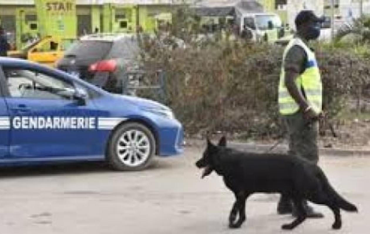 ESOGN 2026 : La Gendarmerie nationale dément les fausses annonces de recrutement