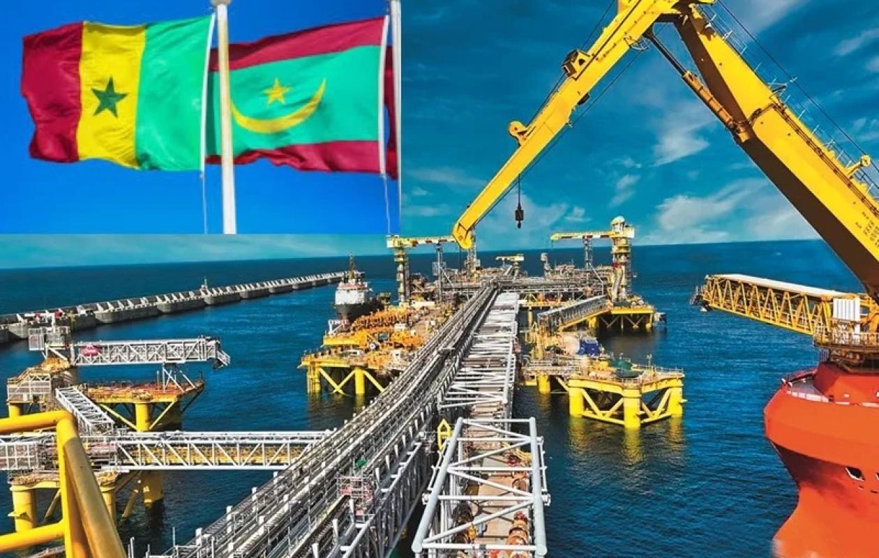 Le gaz sénégalo-mauritanien récompensé pour sa stratégie d’exportation