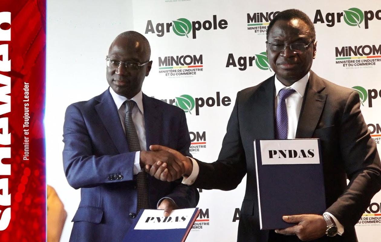 Forum Fii Sénégal 2025 : Les ministres de l’Industrie et de l’Agriculture partagent les opportunités d’affaires sur les agropoles avec les investisseurs privés
