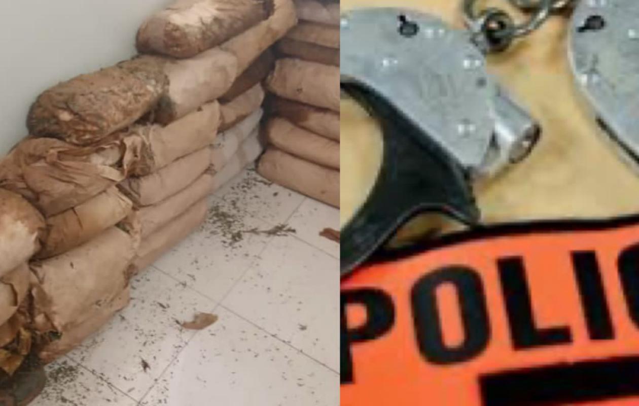 Kaolack : Coup de filet anti-drogue, 4 dealers arrêtés par la police