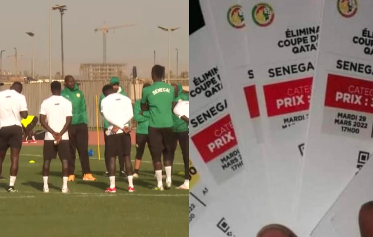 Équipe nationale : La révolte solidaire des Lions face à la flambée des prix des billets