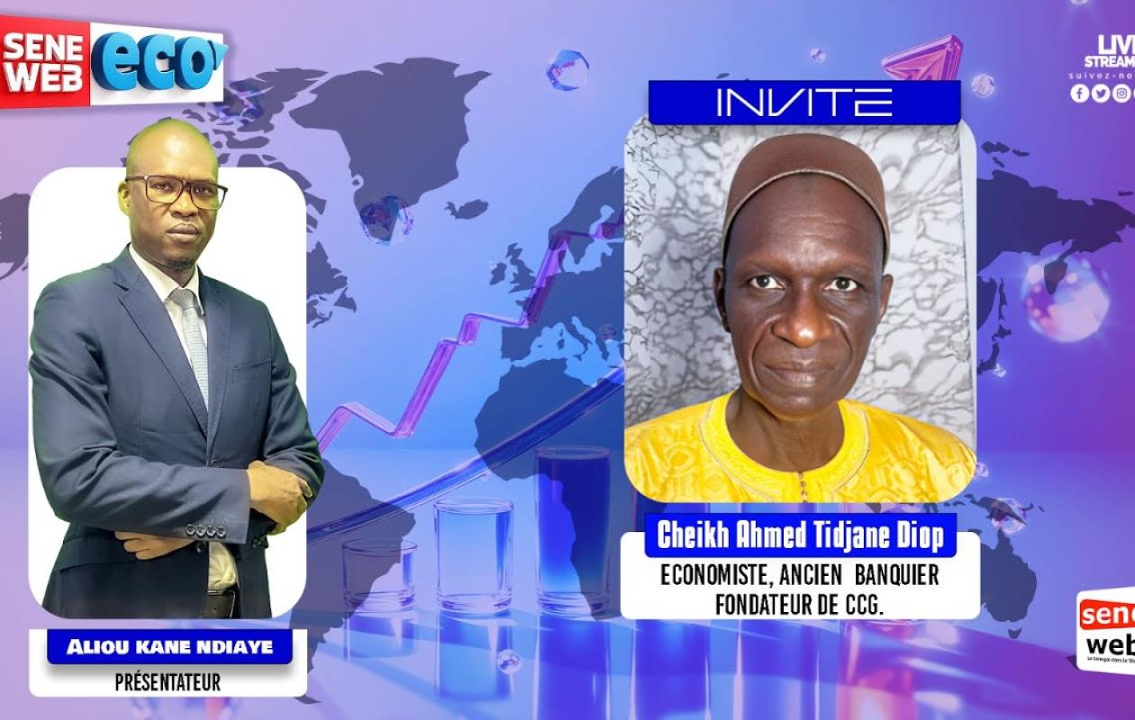 Cheikh Ahmed Tidiane Diop : « Le franc CFA est une monnaie de consommation, pas de production »
