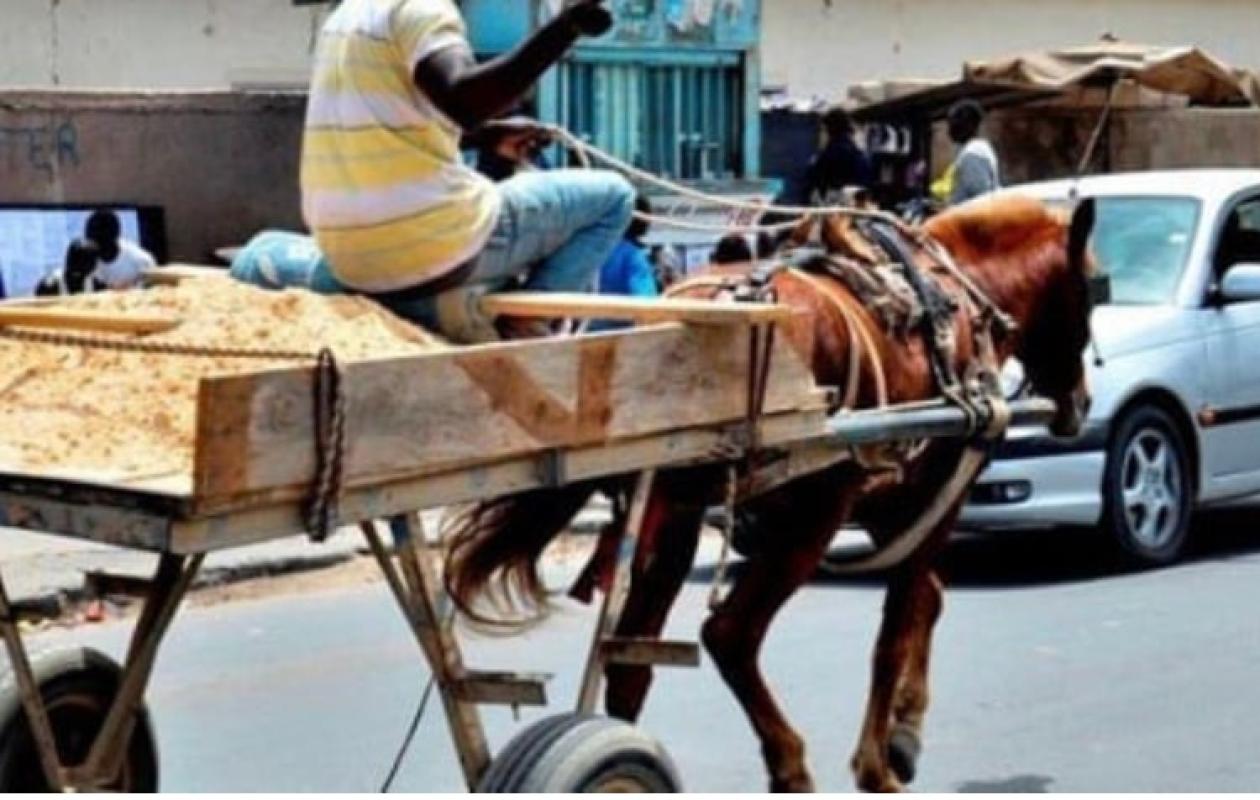 Dakar, Kaolack, Mbour...: Les axes qui seront interdits aux "Pousses-Pousses", charrettes, vendeurs de café...