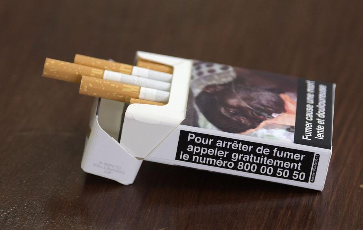 Dix ans d'impuissance : Le Sénégal reste prisonnier du tabac, l'OMS inquiète