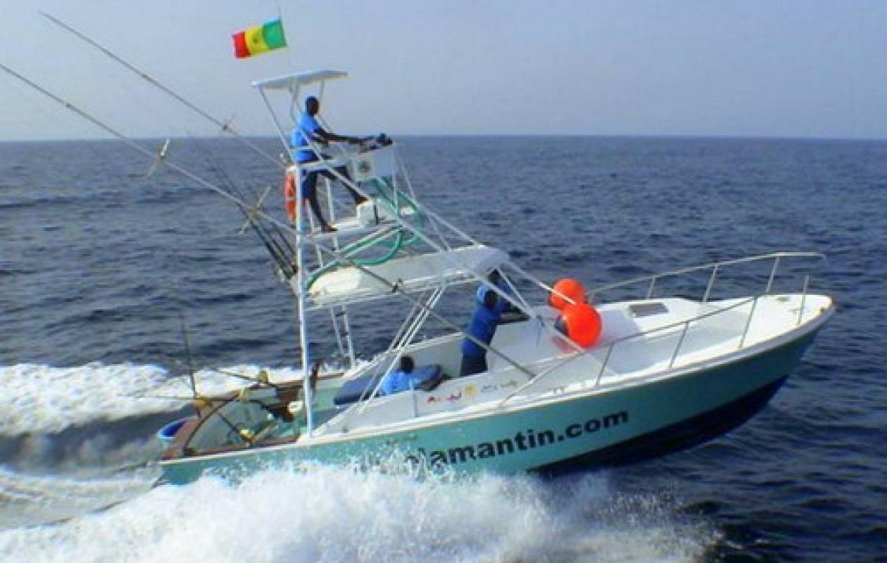 Pêche sportive sénégalaise: une saison prometteuse en perspective