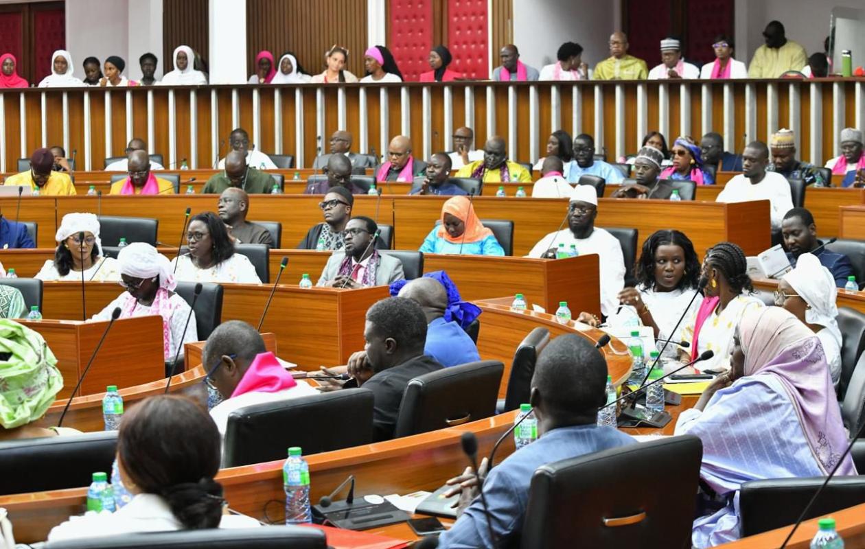 Assemblée nationale : les 14 commissions actées