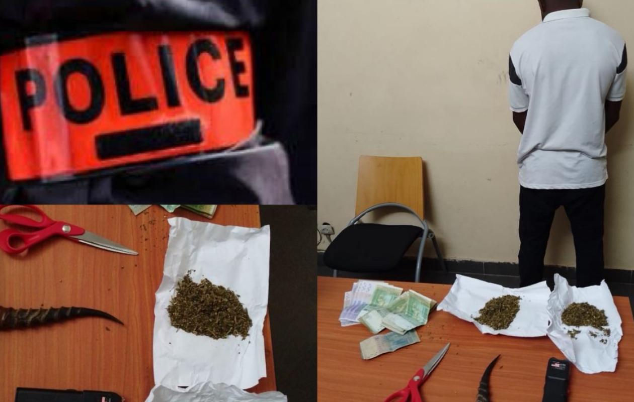 Lutte Antidrogue à Mbacké: 2 chauffeurs arrêtés par la police en flagrant délit