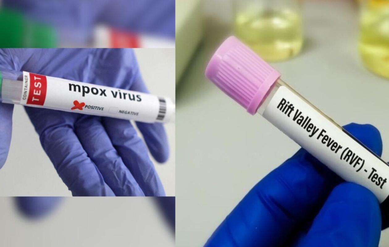 Fièvre de la Vallée du Rift et Mpox : Le Point du ministère de la Santé