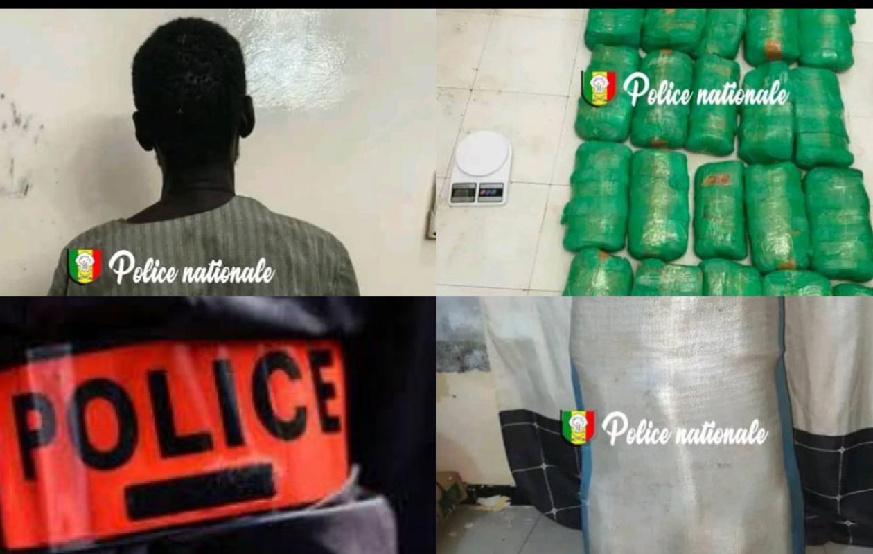 32,9 kg de drogue saisis à Touba : L'OCRTIS arrête M. Ba, son convoyeur en cavale