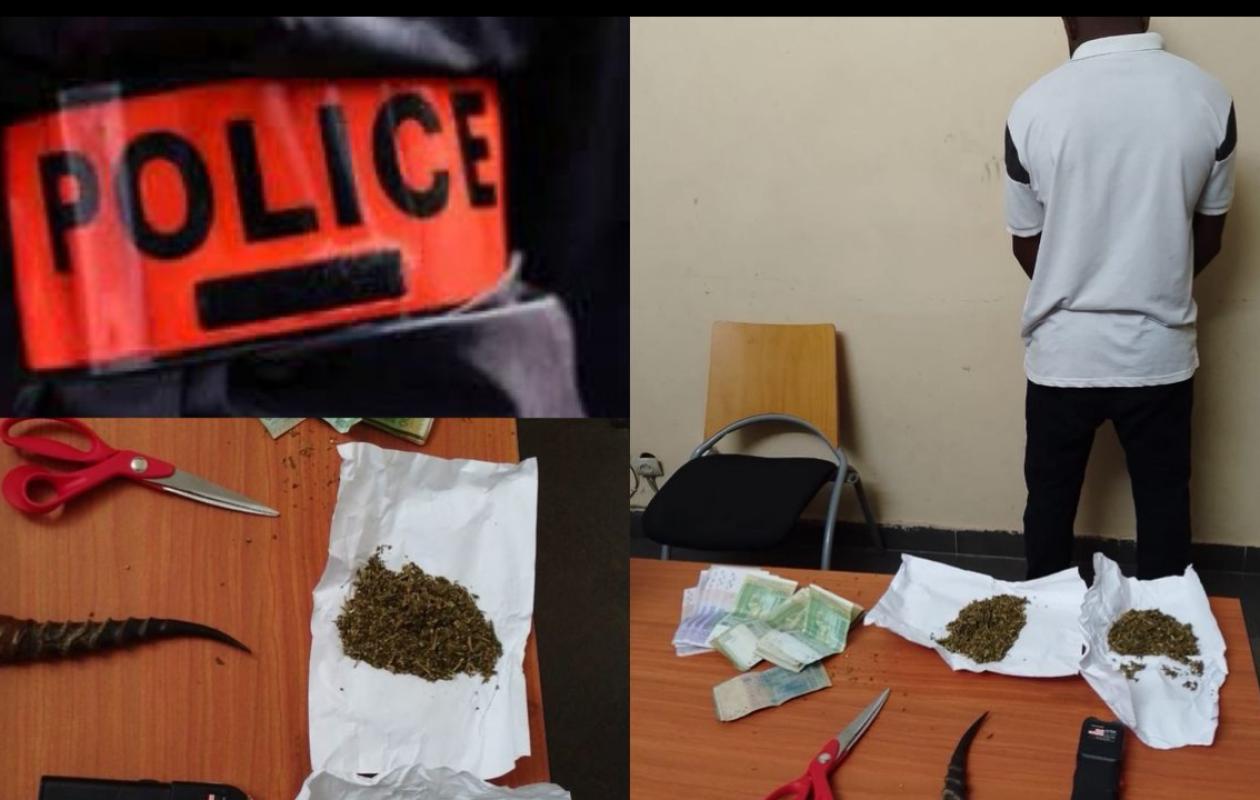 Keur Massar : Un marin sierra-léonais arrêté par l'OCRTIS pour trafic de kush