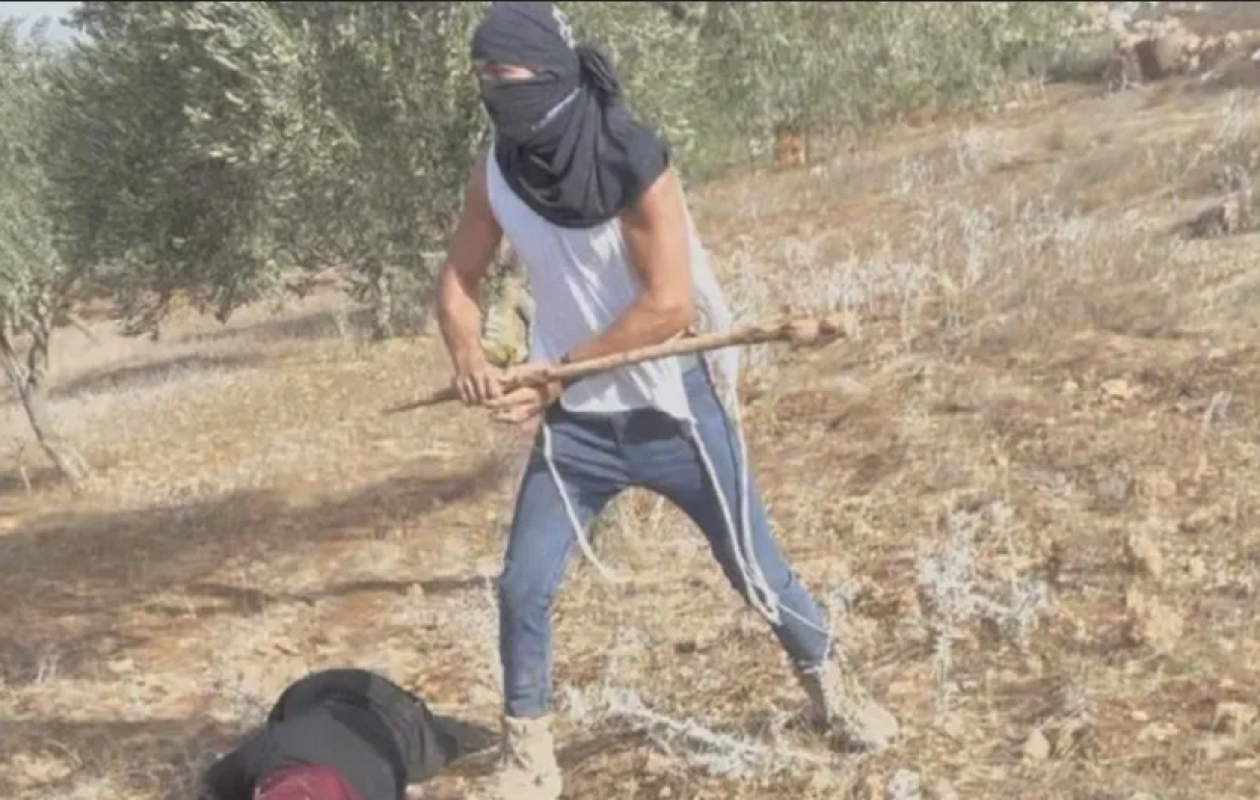 Cisjordanie : Une Palestinienne de 55 ans violemment agressée par un colon masqué alors qu'elle cueillait des olives