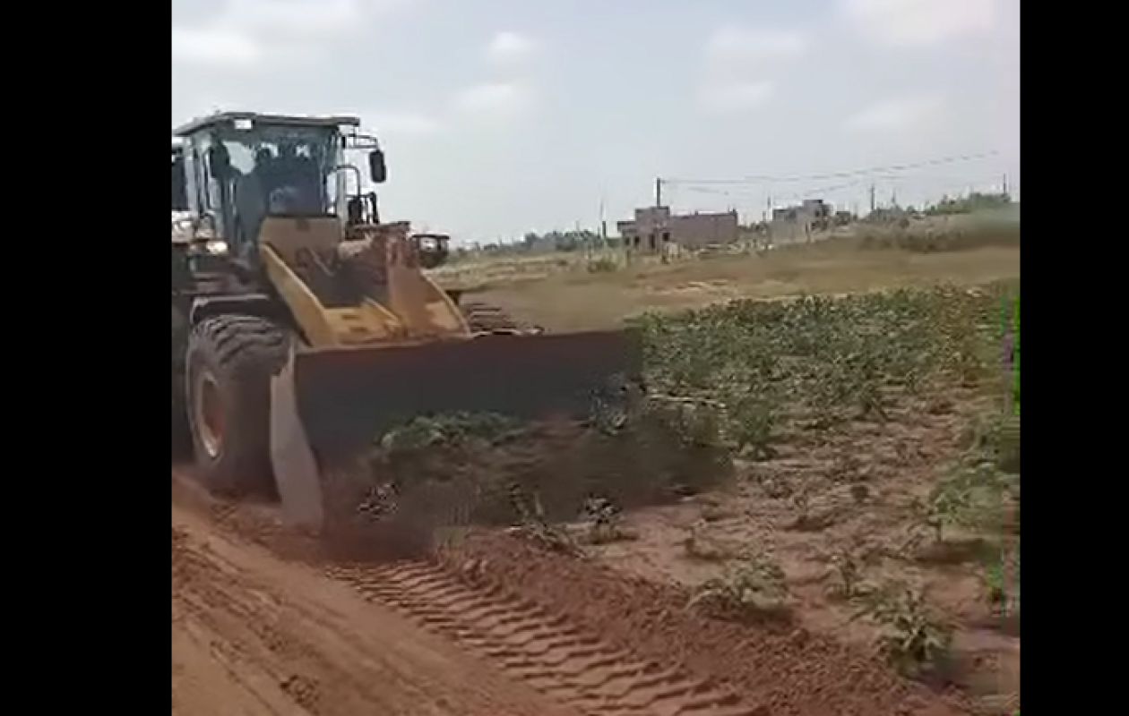 "C'est lâche et ignoble" : Les bulldozers rasent le champ des "Diallo pithie", la CDC et Fadilou Keita critiqués