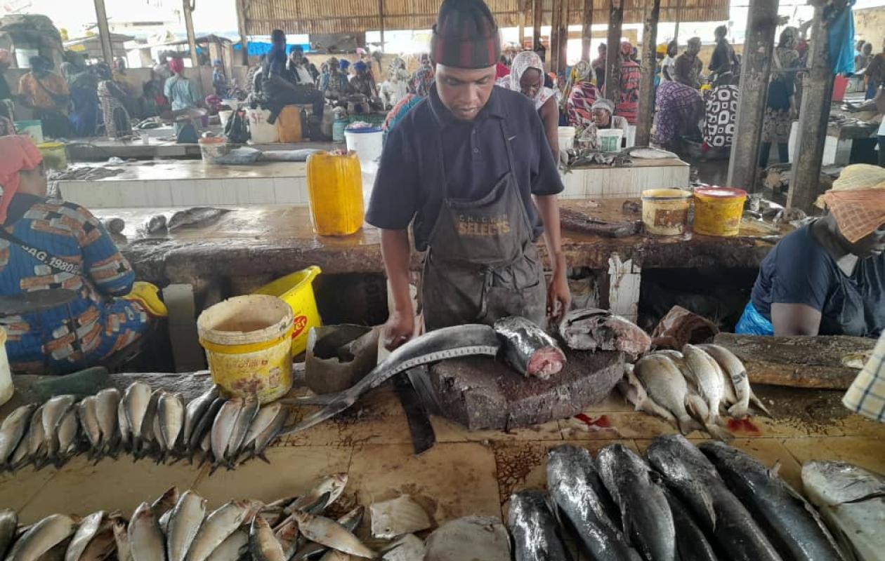 Modèle de gestion de marché central aux poissons : Une délégation malienne en immersion à Kaolack