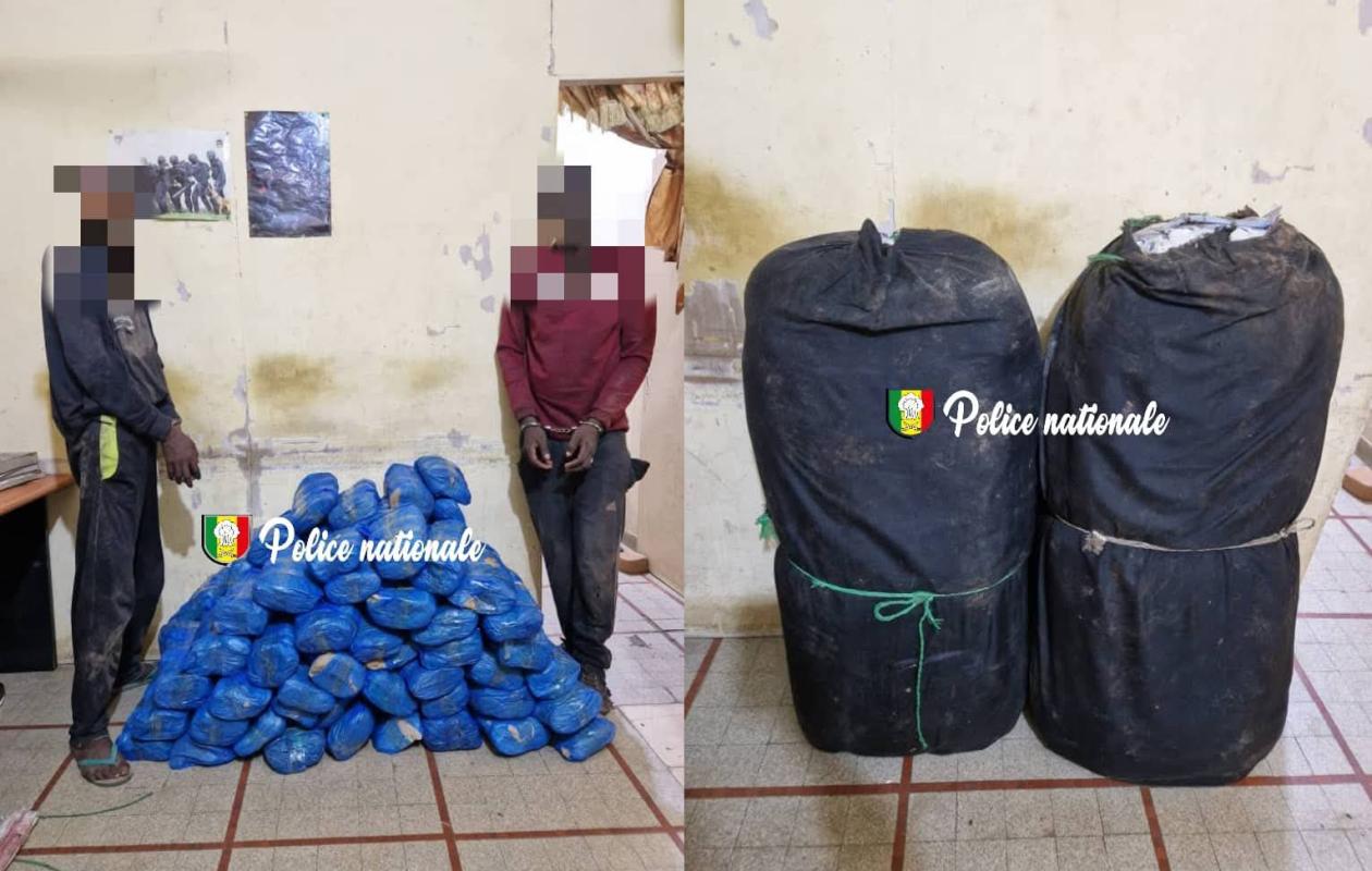 Kaolack : 83 kg de chanvre indien saisis par la Brigade régionale des stupéfiants