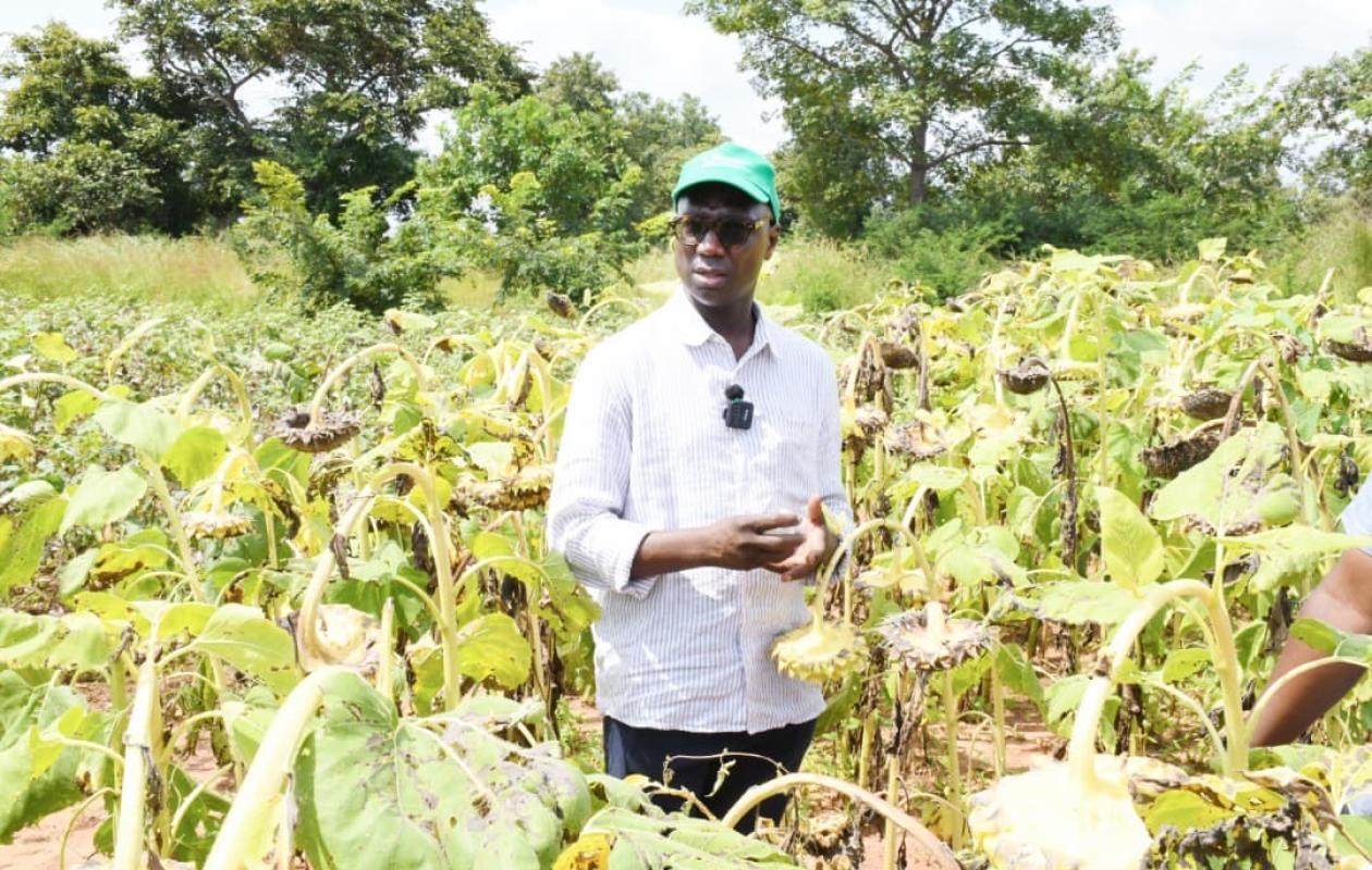 Kédougou : le ministre Mabouba Diagne annonce un important appui en matériel agricole subventionné à 60 %.