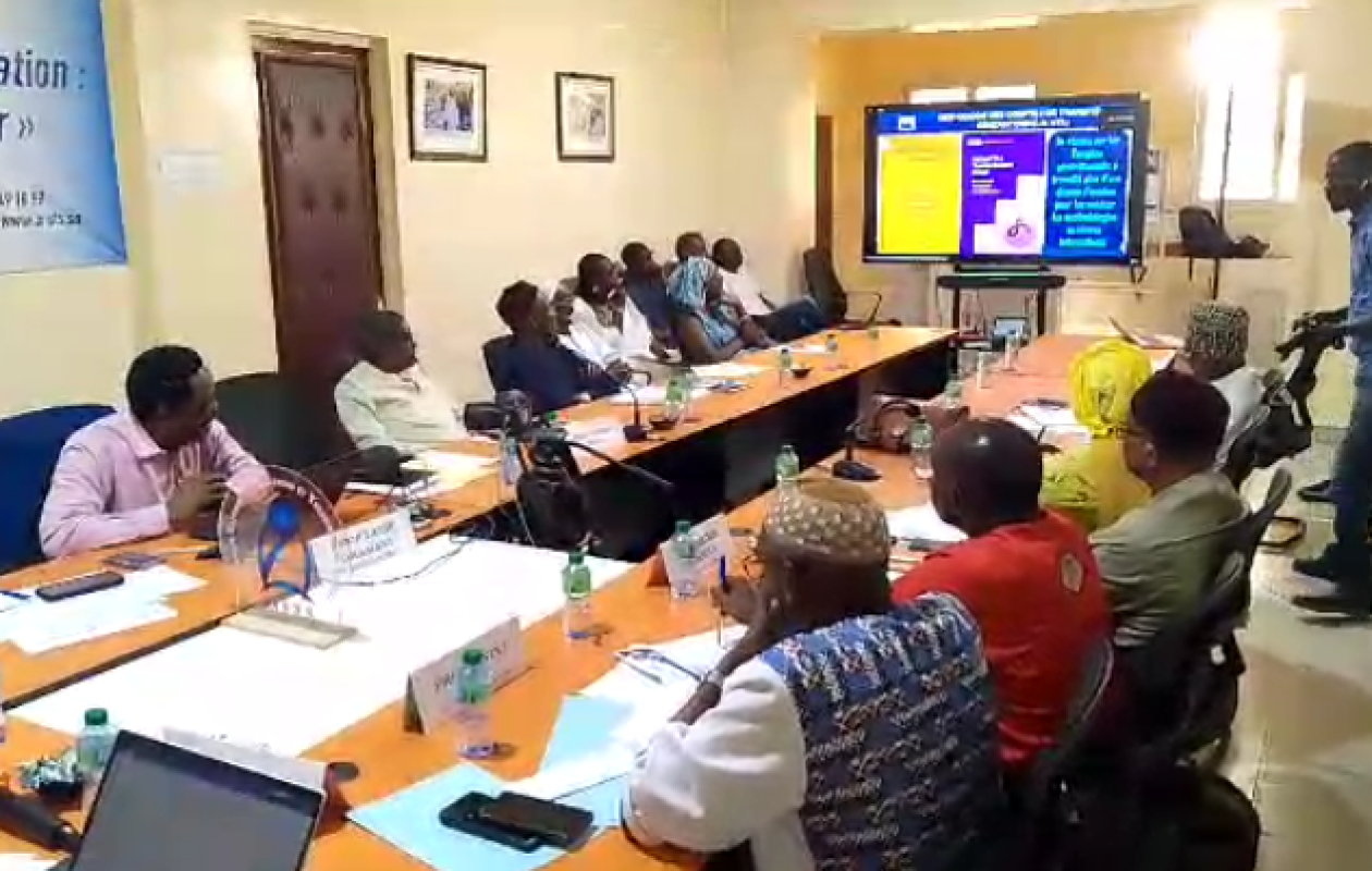 Prévalence et mortalité des maladies vectorielles : la radioscopie d’un scientifique sénégalais