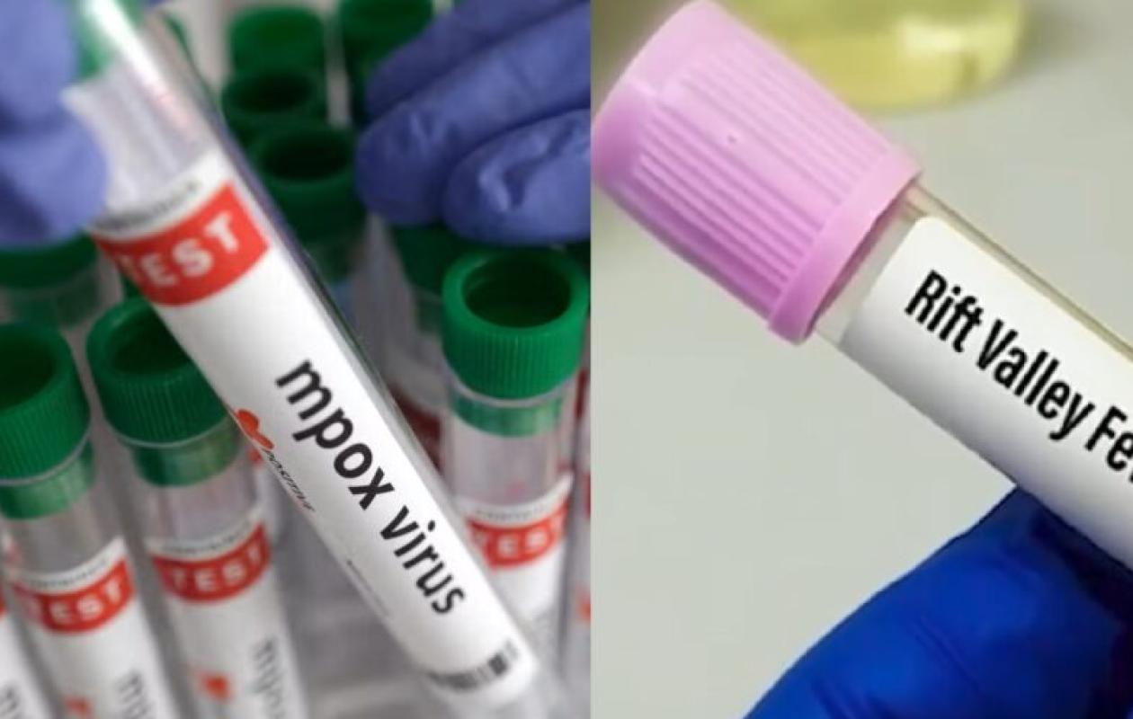 Épidémies : La FVR s’étend, le Mpox reste stable