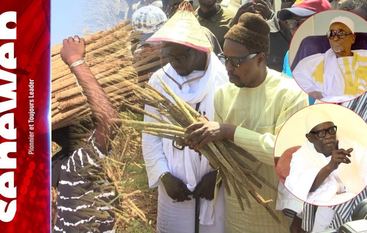 Khelcom : Pluie de témoignages pour le Dieuwrine Cheikh Amar après la fin des récoltes de mil