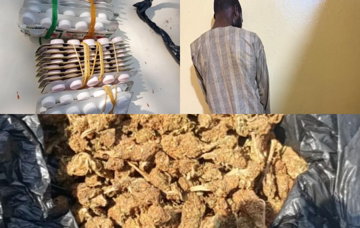 Saisie de drogue à Kolia : un ressortissant malien arrêté avec du chanvre indien et du Tramadol