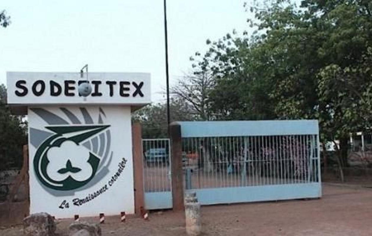 SODEFITEX : La filière cotonnière sénégalaise confirme sa montée en puissance