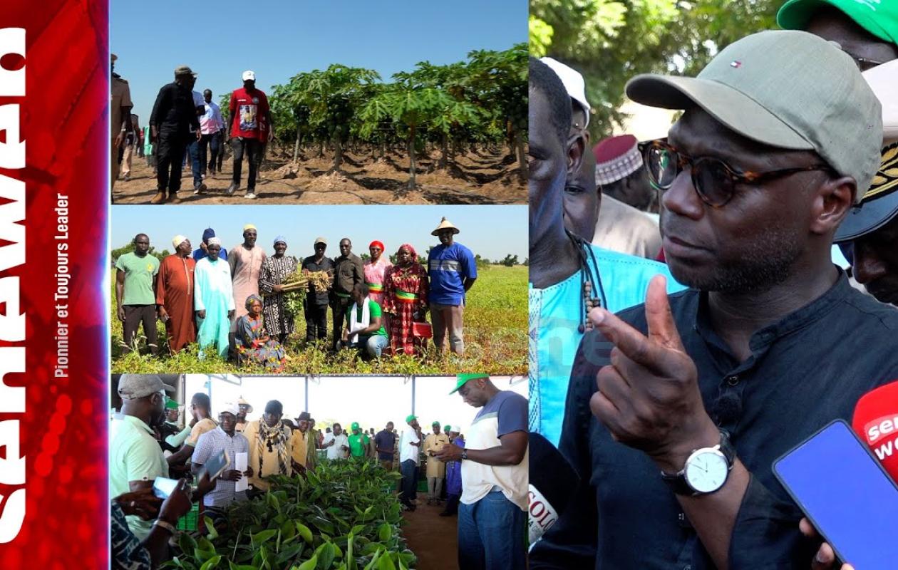 Campagne agricole : Dr Mabouba Diagne révèle la recette de l’année fructueuse