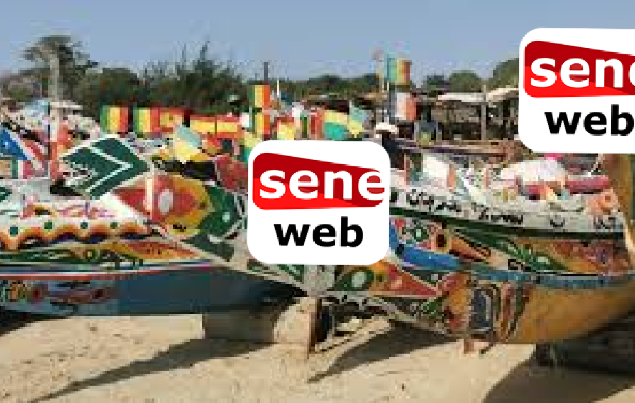 Cap Skirring : Un jeune mortellement poignardé