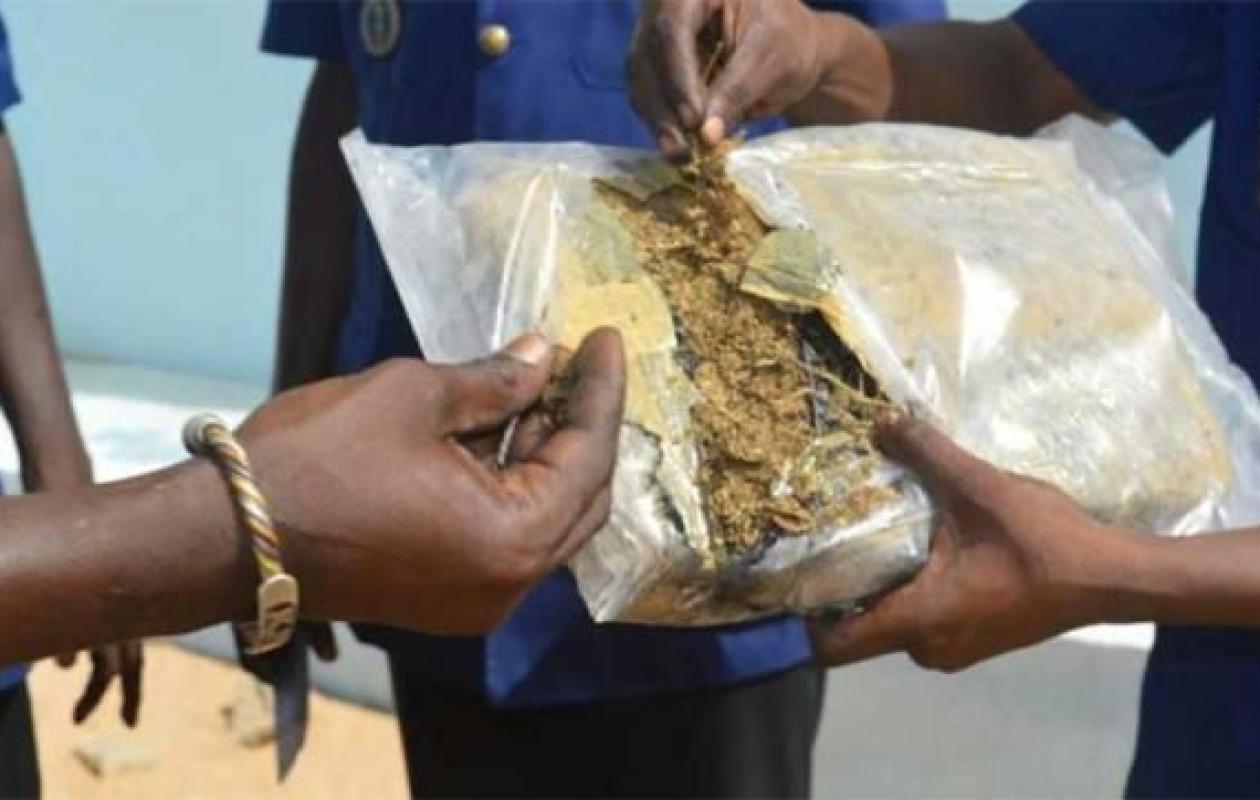 Rufisque : Un trafiquant en provenance de Kafountine intercepté avec 10 kg de chanvre indien