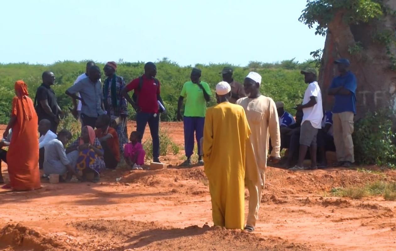 Tensions foncières : la forêt classée de Sébikotane au cœur d’un scandale écologique et administratif