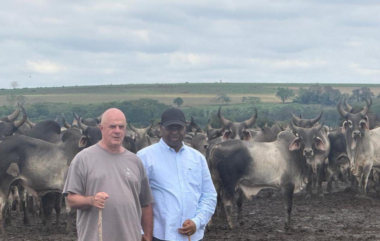 L’État du Sénégal poursuit son engagement pour l’amélioration génétique du cheptel et la souveraineté alimentaire