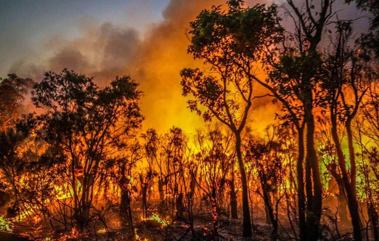 Commune de Guédé Village : Plus de 800 ha ravagés par un violent feu de brousse