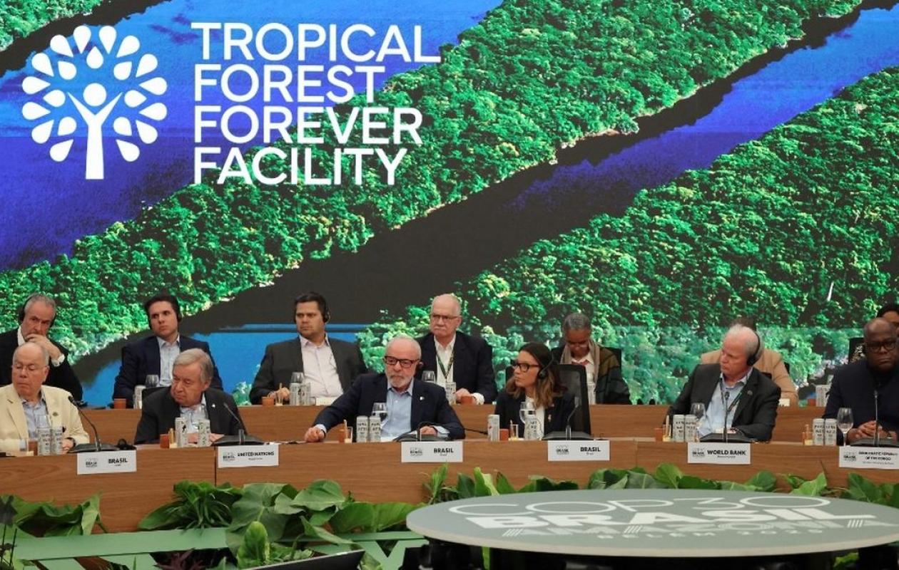 COP30 : Lula lance un mécanisme inédit pour rémunérer la préservation des forêts tropicales