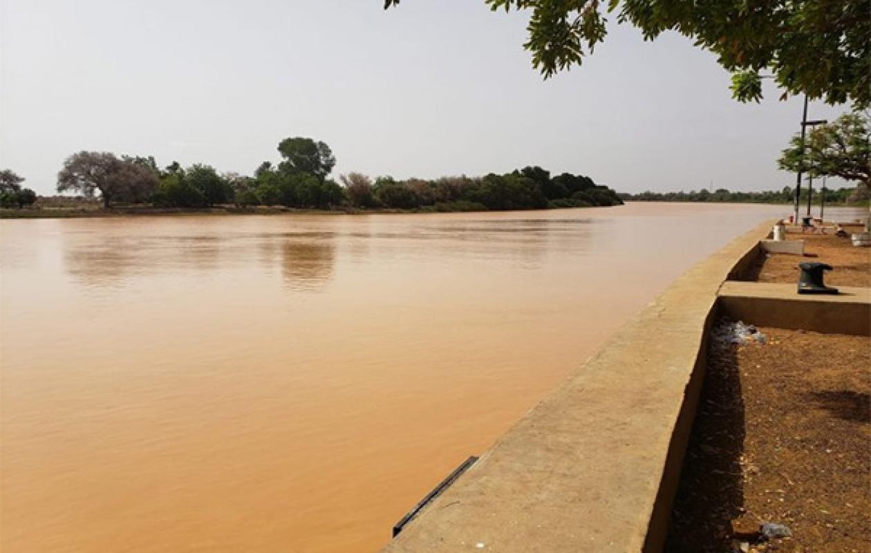 Situation hydrologique du fleuve Sénégal à Podor : la baisse se poursuit