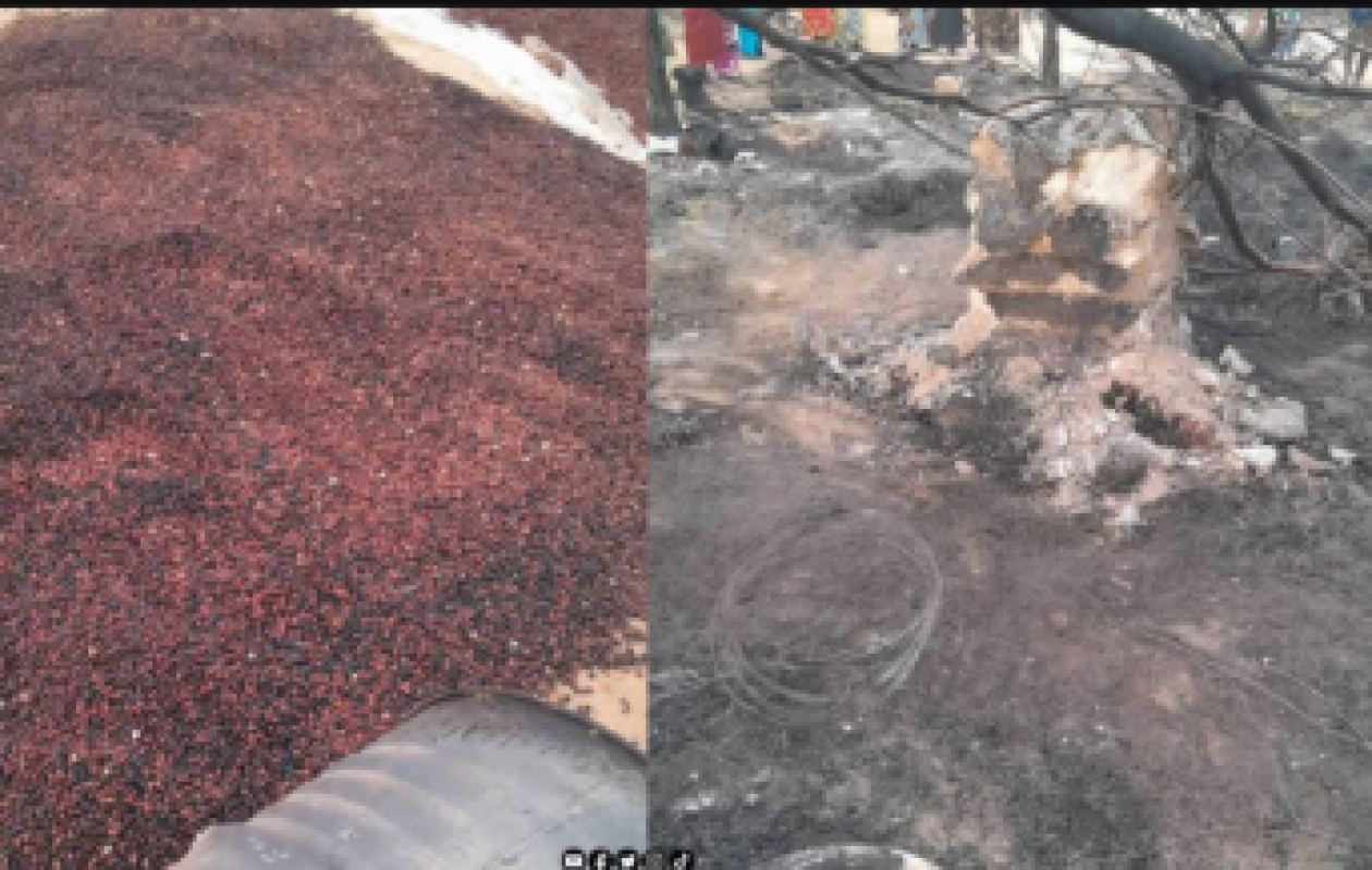 Drame criminel à Gassane : D'importantes récoltes d'arachide incendiées