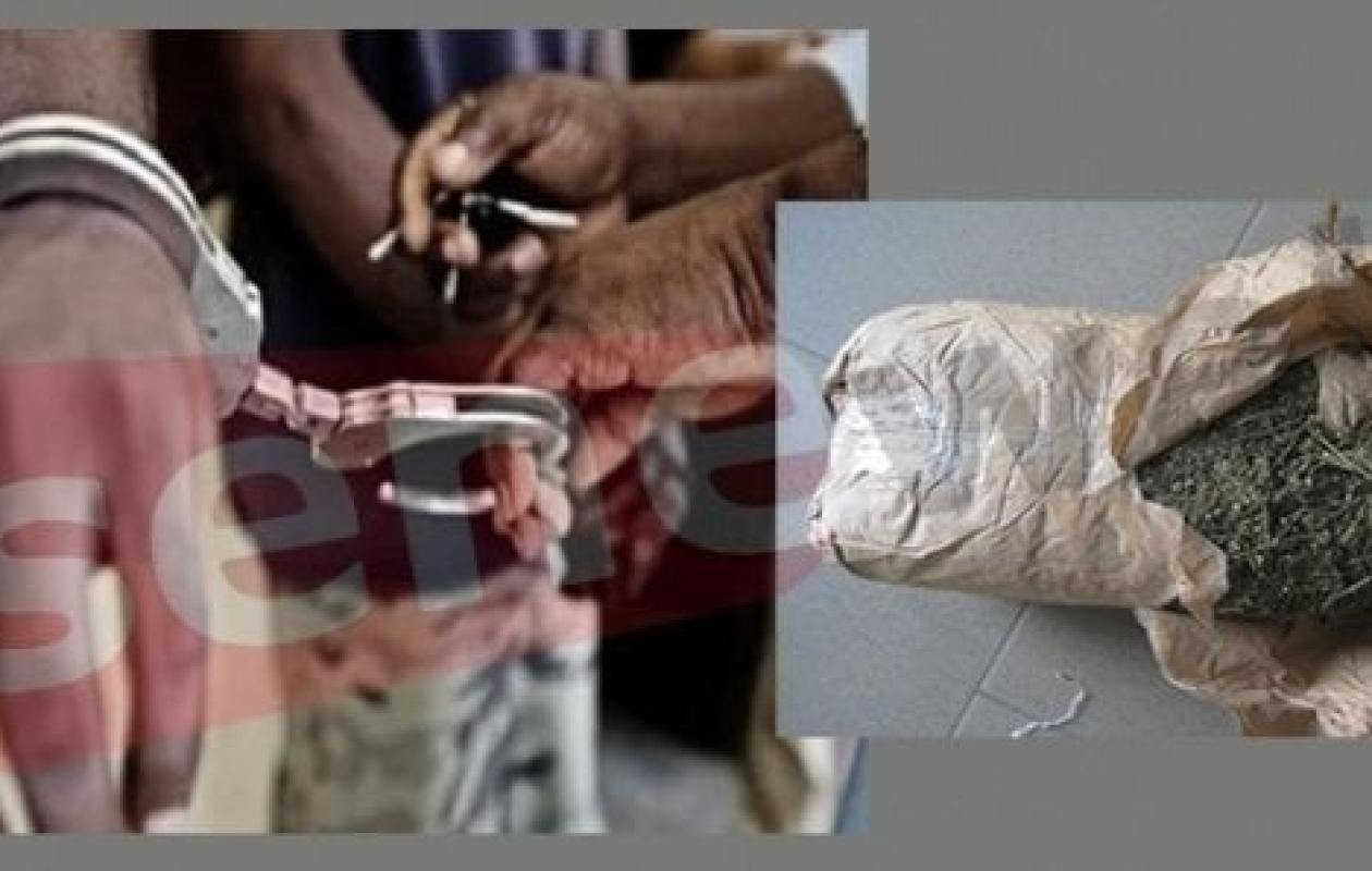 Sédhiou: Un trafiquant tombe avec 20 kg de chanvre indien