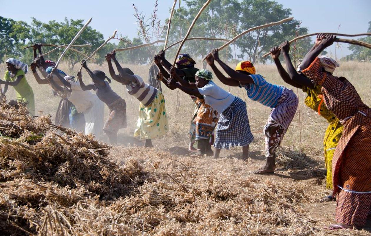 Femme rurale : Entre foyer, jardin, champ et enclos