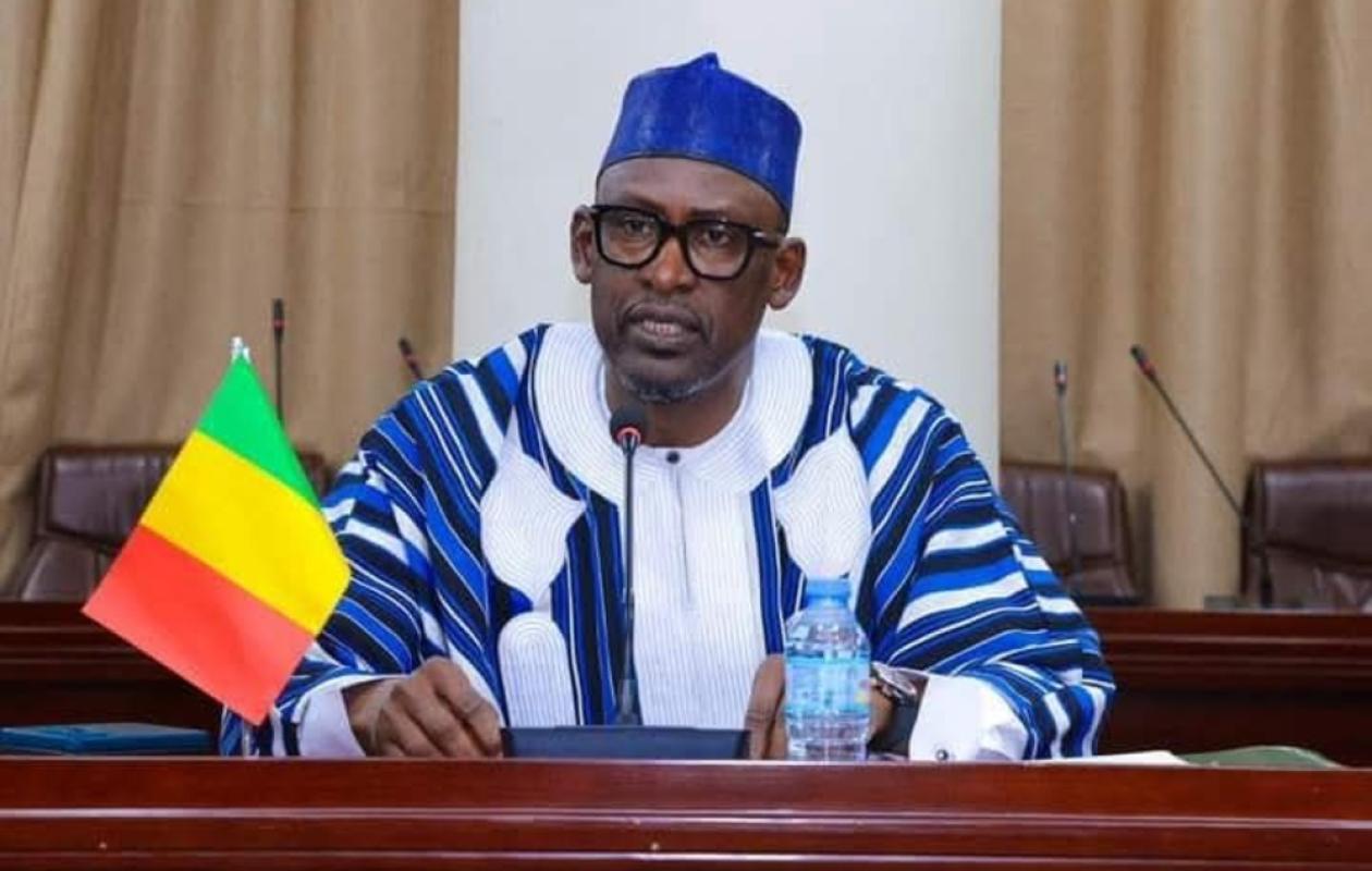 Mali : "Les groupes terroristes ne tiennent pas face à la puissance de feu des (Fama)", affirme Abdoulaye Diop