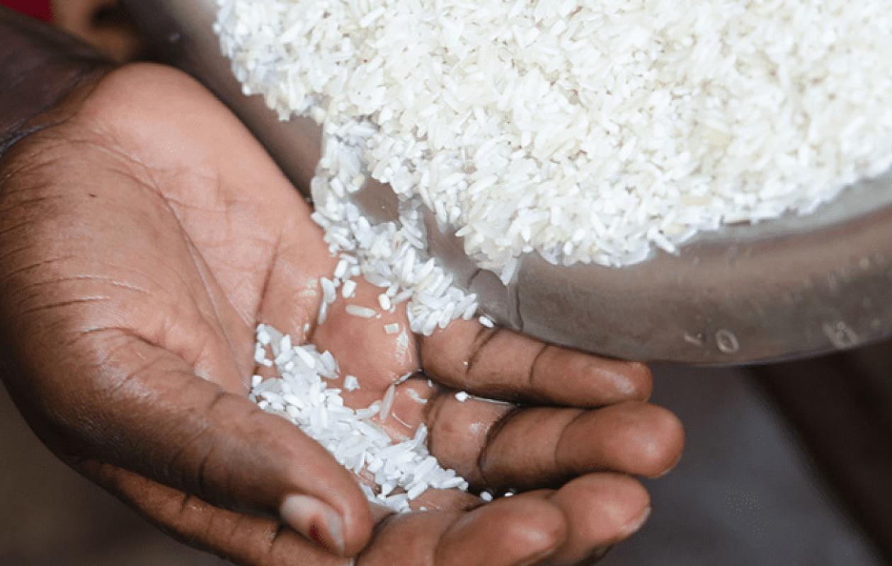 Riz sénégalais : L’État et les commerçants scellent un accord pour promouvoir la consommation locale