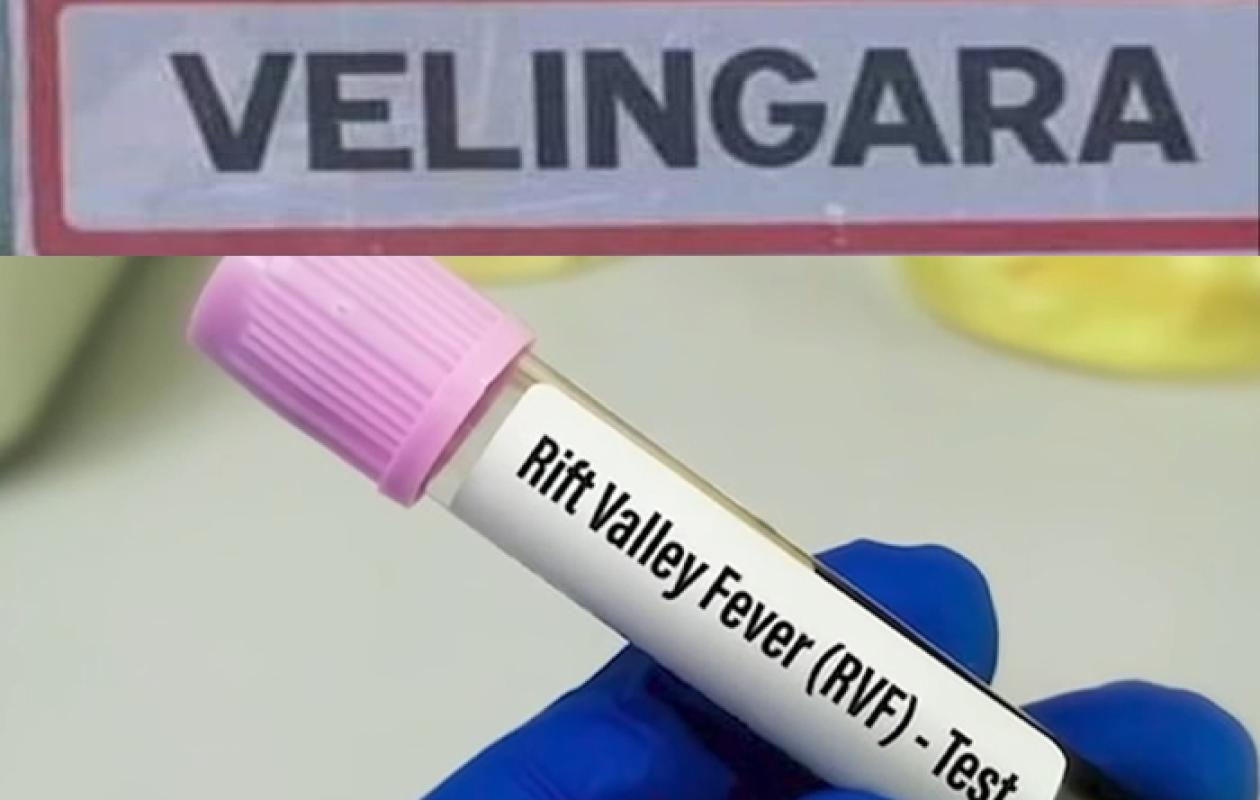 Vélingara: Première victime de la fièvre de la vallée du Rift signalée