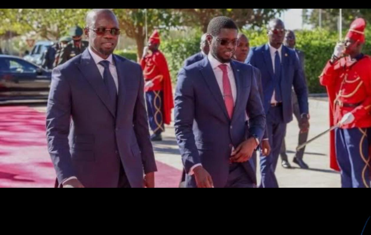 Conflit Diomaye-Sonko : Hamidou Anne rappelle àl'ordre, « la Constitution doit être leur boussole »