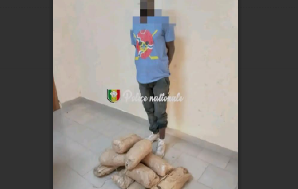 Mbour : Un dealer arrêté avec 10 kg de drogue par la BRS de Thiès