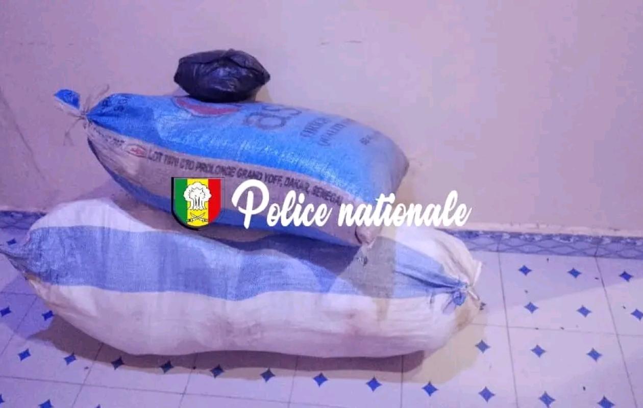 Ziguinchor : Deux individus arrêtés avec 40 kg de drogue