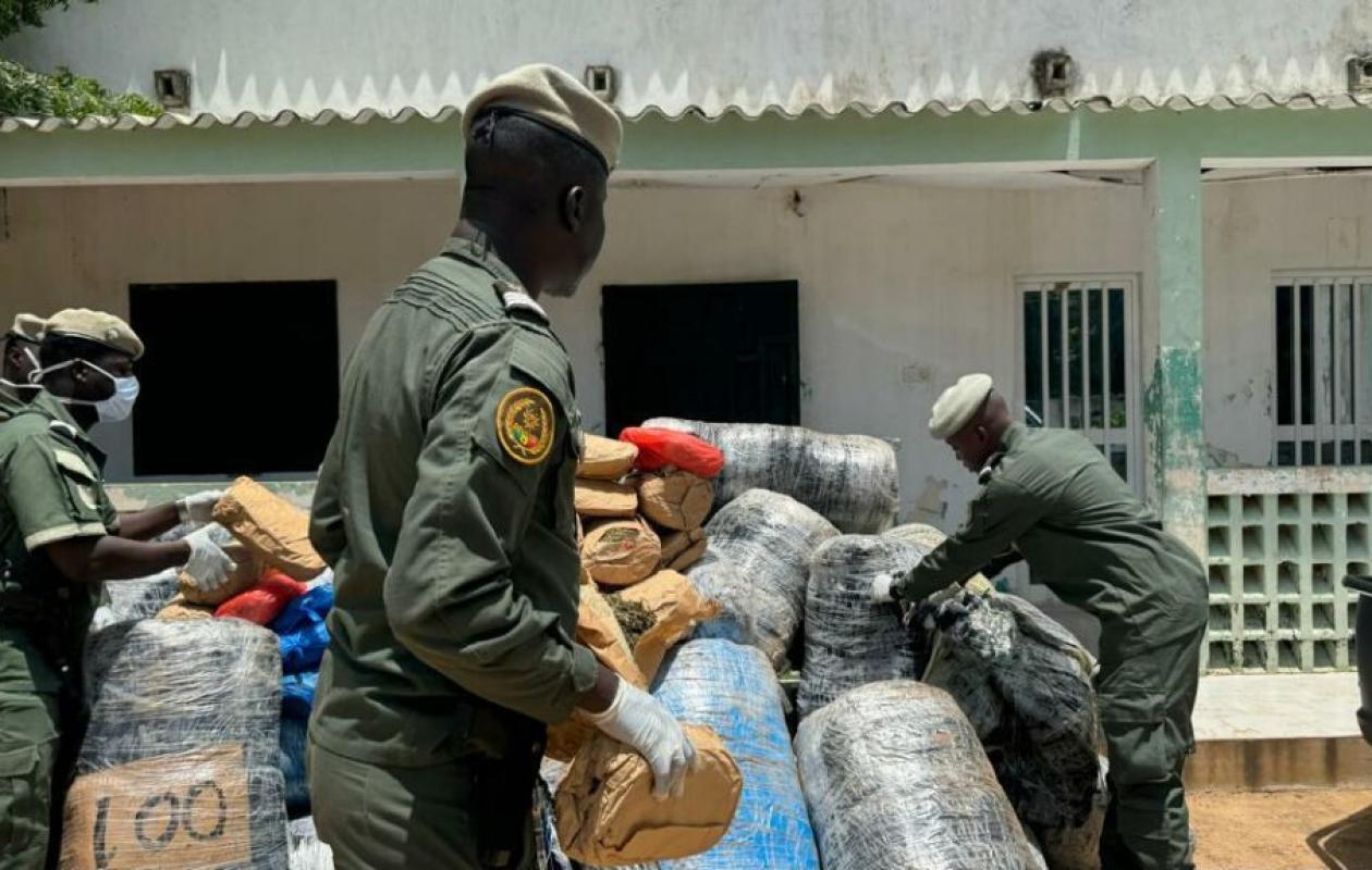 Fatick : Un important trafic de chanvre indien déjoué à Faoye