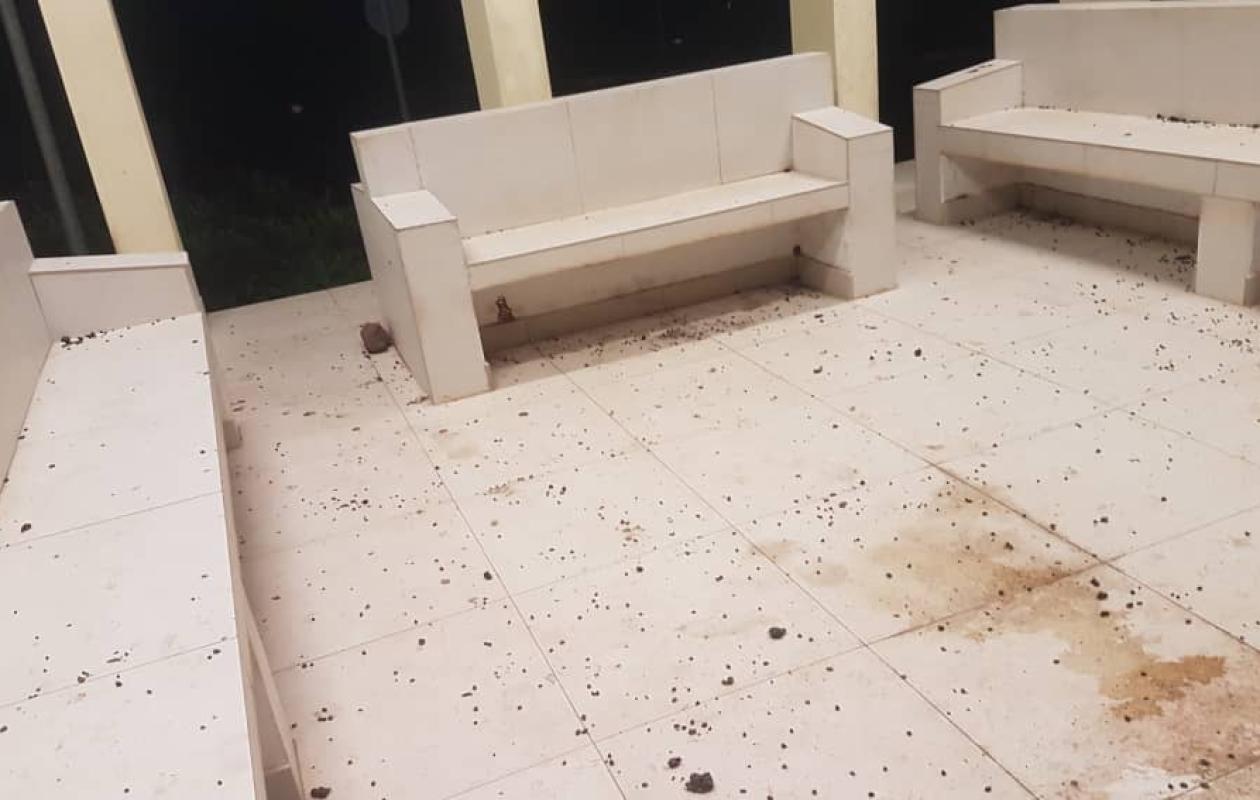 Sédhiou: Quand les ruminants envahissent l'hôpital régional