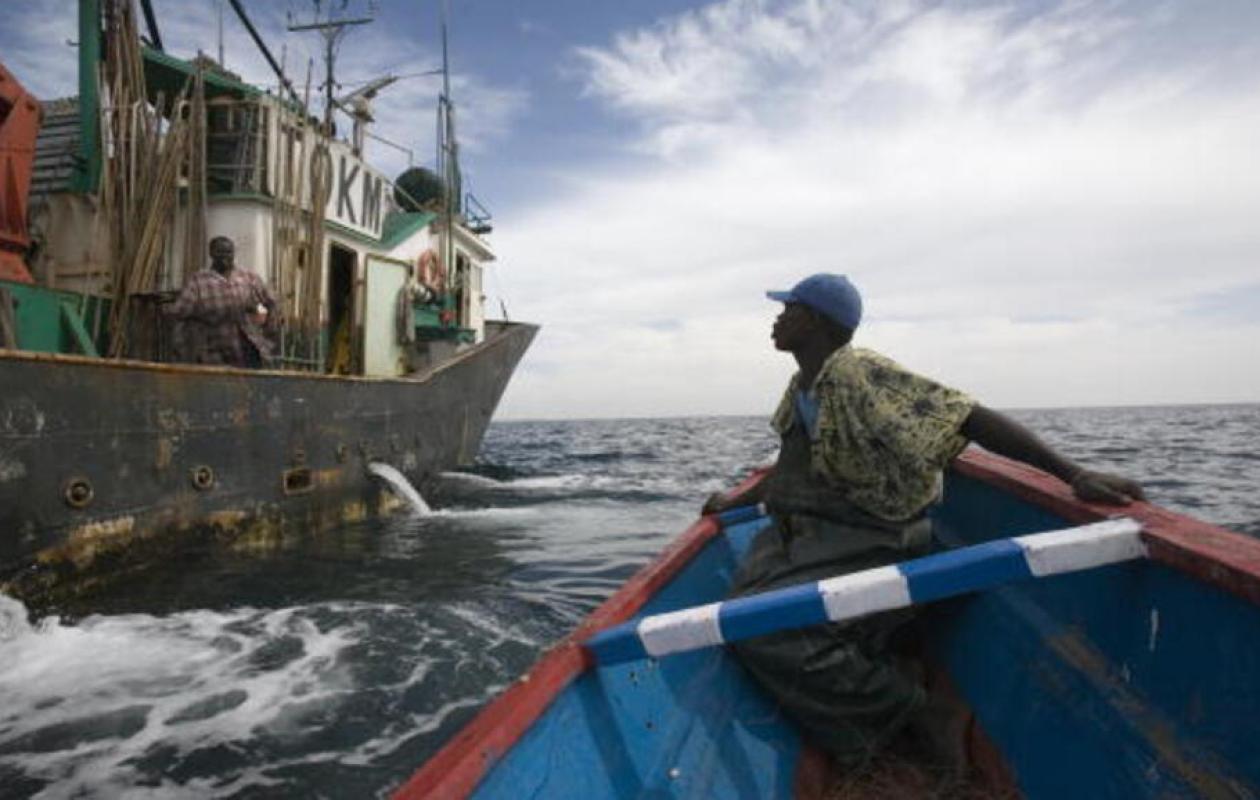 Pêche Illicite : Les syndicalistes exposent les défis