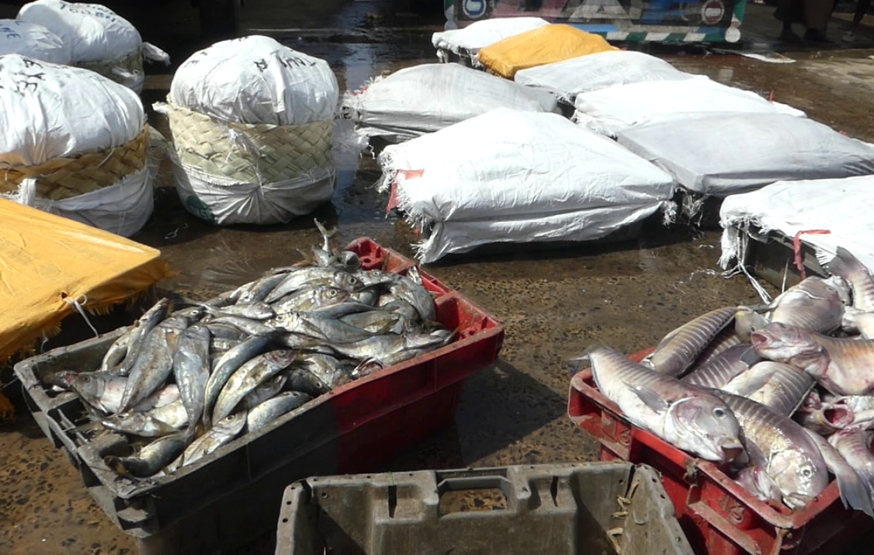 Journée mondiale de la pêche à Saint-Louis : les acteurs rappellent à l’État ses engagements